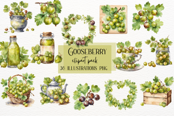 Vibrant Gooseberry Fruit Illustrations for Modern Design