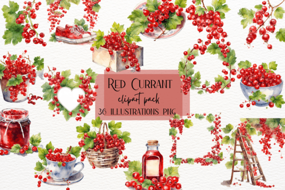 Vibrant Watercolor Red Currant Clipart for Modern Design