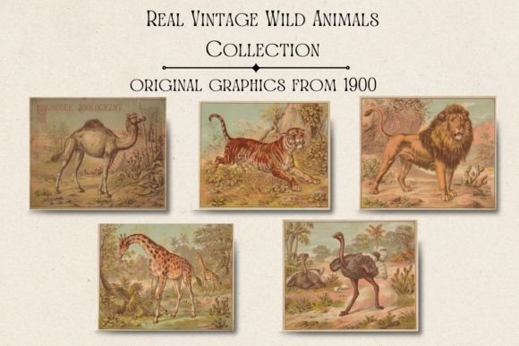 Vintage Animals Cards: Lion & Giraffe for Authentic Design