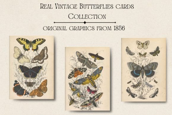 Vintage Butterflies Vintage Cards: Timeless Design Assets